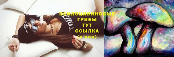 прущий лед Белокуриха