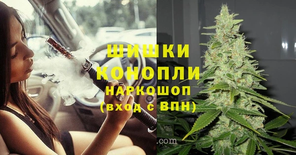 крисы Белоозёрский