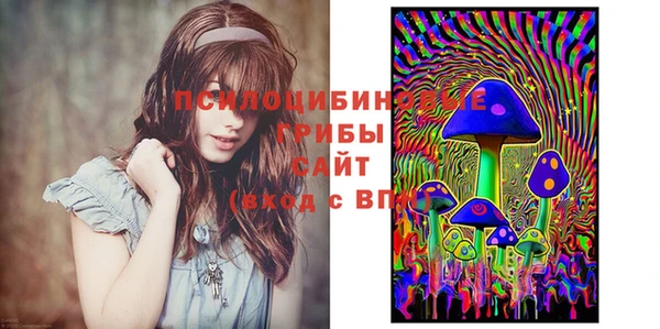 прущий лед Белокуриха