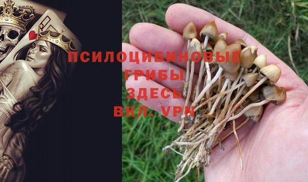 прущий лед Белокуриха