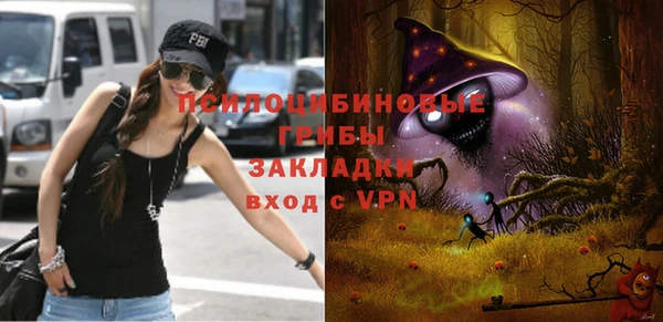 крисы Белоозёрский