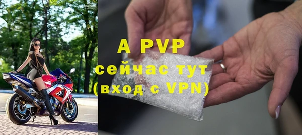 крисы Белоозёрский