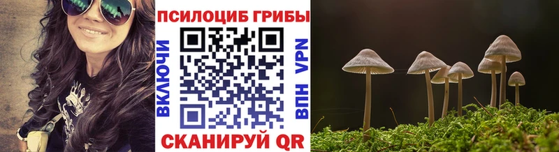 Псилоцибиновые грибы MAGIC MUSHROOMS  даркнет сайт  Пестово 