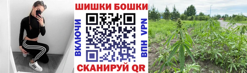 блэк спрут ССЫЛКА  дарнет шоп  Пестово  Шишки марихуана Ganja 